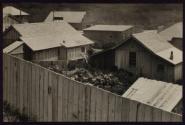 [Wooden buildings and fence]