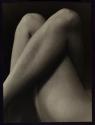Legs of Nude, Hollywood