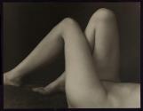 [Legs of nude]
