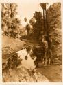 Before The White Man Came - Palm Cañon