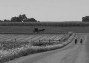 Amish 66, Elkhart County, IN