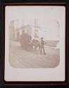 [Ox Cart, Granada]