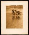 Water Rite Purification, Cheyenne Animal Dance