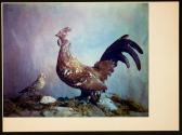 [Facsimilie of Louis Ducos du Hauron's Still life with rooster]