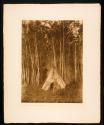 A Chipewyan Tipi Among The Aspens
