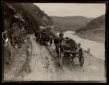Vranja. Sick Serbian soldier being transported by ox teams to the hospital at Vranja.