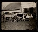 Semendria. Street and market scene.