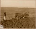 Primitive plow - Serbia - 1918. Red Cross.