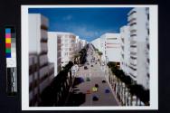 [View down palm tree-lined boulevard, Baghdad architectural model]