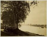 View on the Trent