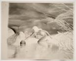 The Bubble 1907