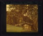 [Tegernsee, Bavaria, late summer in the forest]