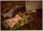 Portfolio VII, MFA Photography Program, Rochester Institute of Technology