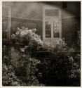 Portfolio VII, MFA Photography Program, Rochester Institute of Technology