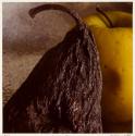 Portfolio VII, MFA Photography Program, Rochester Institute of Technology