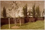 Portfolio VII, MFA Photography Program, Rochester Institute of Technology