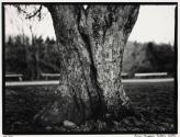 Portfolio VII, MFA Photography Program, Rochester Institute of Technology