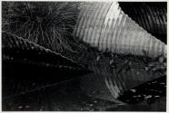 Portfolio VI, MFA Photography Program, Rochester Institute of Technology