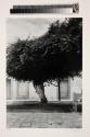 Portfolio VI, MFA Photography Program, Rochester Institute of Technology