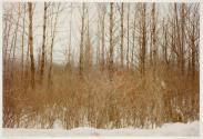 Portfolio VI, MFA Photography Program, Rochester Institute of Technology