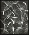 [Solarized direct projection of seeds]
