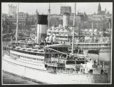 The cruise ships Voltaire from Liverpool and Orion from London, lying at anchor in Stockholm.