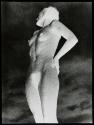 [Reticulated nude study]