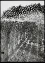 [Detail of a strongly enlarged fish scale treated like a negative in the enlarger]