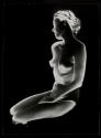 [Solarized nude study]