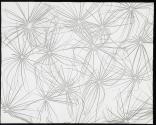 Dandelion seeds