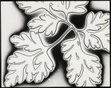 [Solarized print of a leaf]