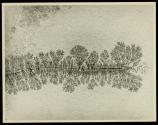 [Dendrite—an arborescent crystalline growth]