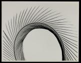 [Feather]