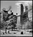 Central Park, New York