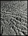 [Cross-bedded, sedimentary rocks, Utah]