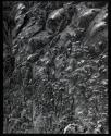 Ice feathers on window pane