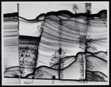 Dendrites in Brecciated limestone