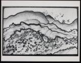[Cross section through sandstone, solarized negative]