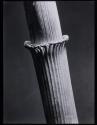 Reed stalk