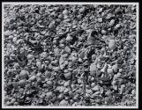 [Close up of the beach at Bradenton, Florida]
