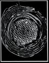 [Sectioned hornets nest]