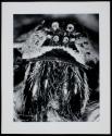 [Close-up of the head of a wolf spider]