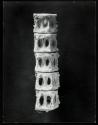 Spine of a skate