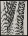 [Two feathers]