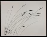 [Grasses swaying in the wind]