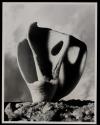 [Broken conch shell, a piece of natural sculpture]