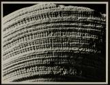 [Close-up of the eroded shell of a clam]