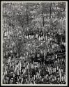 [Jewish cemetery, Brooklyn]