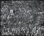 [Jewish cemetery, Calvary in Queens]