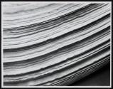 [Close-up of clam shell]